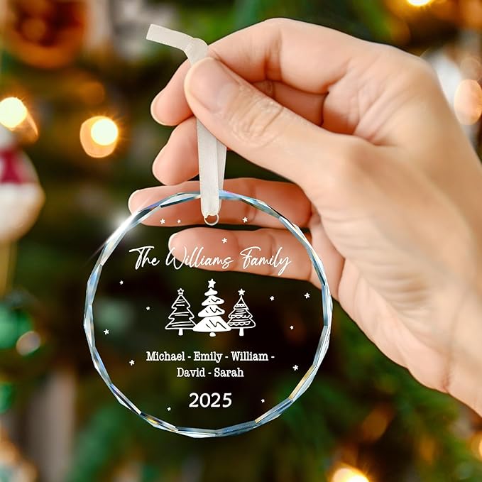 Family Christmas Ornaments 2025 Personalized, Family Ornaments with Custom Name, Tree Decorations, Customized