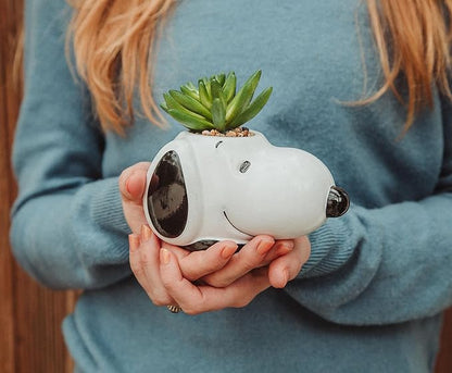 Peanuts Snoopy Face Ceramic Mini Planter with Artificial Succulent | Small Flower Pot, Faux Indoor Plants for Desk Shelf, Home Decor Trinket Tray | Cute Charlie Brown Gifts and Collectibles