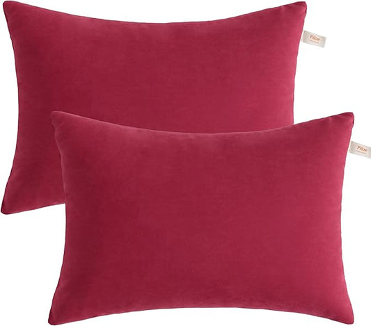 BEDSUM 2 Pack Pillows, 13"x18" Microfiber Pillows for Travel, Pets, Soft and Machine Washable Small Pillows for Neck, Wrist, and Knee Comfort, Red