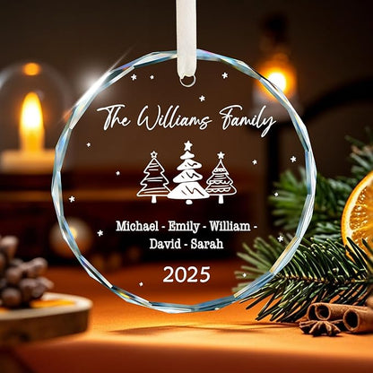 Family Christmas Ornaments 2025 Personalized, Family Ornaments with Custom Name, Tree Decorations, Customized