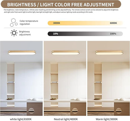 Becailyer 23.6" Modern LED Ceiling Light, Dimmable Flush Mount Ceiling Lamp, 60W Metal Ceiling Chandelier Lighting Fixture for Living Room Bedroom Dining Room Office Hallway Aisle Closet, Gold
