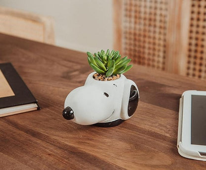 Peanuts Snoopy Face Ceramic Mini Planter with Artificial Succulent | Small Flower Pot, Faux Indoor Plants for Desk Shelf, Home Decor Trinket Tray | Cute Charlie Brown Gifts and Collectibles