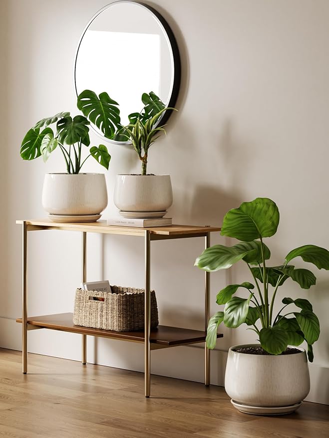 LE TAUCI Ceramic Planters, 10 Inch Plant Pot with Drainage Holes and Saucers, Stylish and Durable Planter, Plant Pots Indoor, Gift for Mom, Reactive Glaze Beige