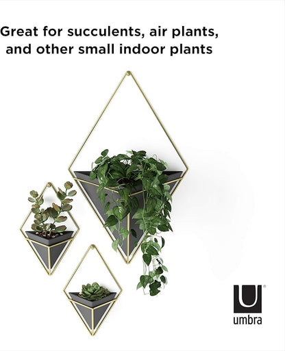 Umbra Trigg Hanging Planter Vase Wall Decor, Pot and Container for Succulents, Cactus, Faux Plants, and More, Large, Black/Brass