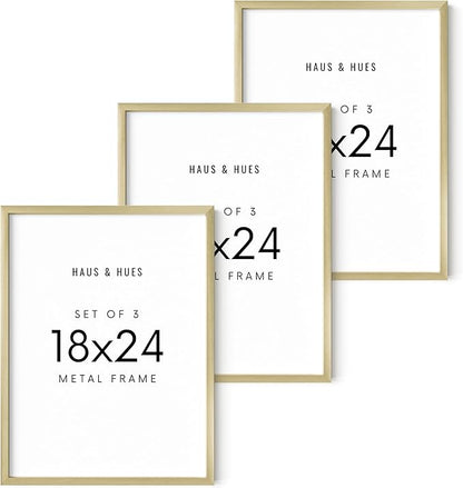 HAUS AND HUES 18x24 Gold Metal Picture Frames - Features Premium Aluminum, Vertical & Horizontal Hang, Shatterproof Plexiglass - Perfect for Home, Room, Office (18x24 in, Gold, Set of 3)