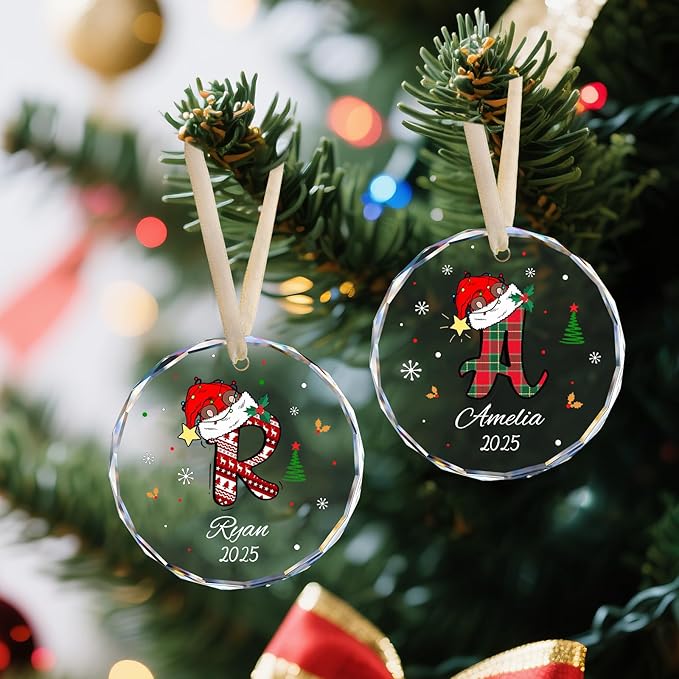 Personalized Christmas Ornaments, Name Ornaments for Christmas Tree, Custom Letter Christmas Ornament Keepsake Gifts for Kids and Adults, Stocking Name Tags