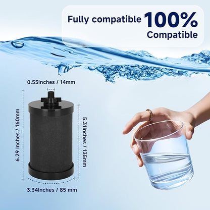2387 Pro Black Filter, NSF/ANSI 42 Certified for Alexapure 2387 Pro Filter Replacement, 5,000 Gallon Throughput Capacity Compatible with Alexapure Water Filtration System - 2 Pack Black