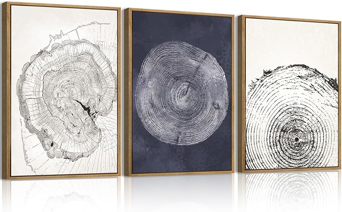 IARTTOP Framed Tree Ring Wall Art Modern Neutral Wood Stump Wall Decor Abstract Tree Spiral Wall Decor For Living Room Bedroom Office12 x16 Inch Set Of 3