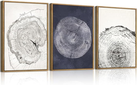 IARTTOP Framed Tree Ring Wall Art Modern Neutral Wood Stump Wall Decor Abstract Tree Spiral Wall Decor For Living Room Bedroom Office12 x16 Inch Set Of 3