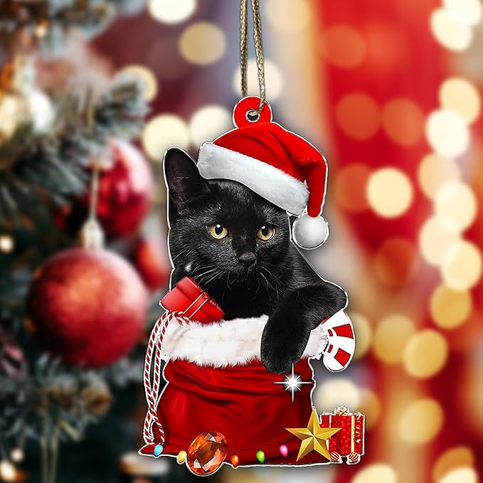 Black Cat Christmas Ornament 2025 – Cute Cat in Santa Hat & Candy Cane – Funny Holiday Tree Decoration for Kitten Lovers, Pet Memorial Keepsake, Xmas Gift for Friends & Family