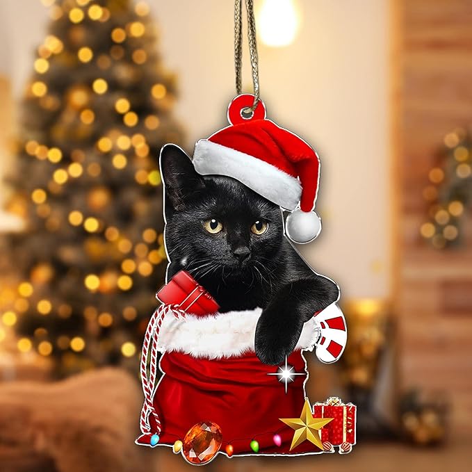 Black Cat Christmas Ornament 2025 – Cute Cat in Santa Hat & Candy Cane – Funny Holiday Tree Decoration for Kitten Lovers, Pet Memorial Keepsake, Xmas Gift for Friends & Family