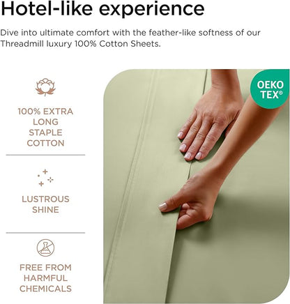 Threadmill Luxury 800 Thread Count Queen 100% Cotton Sheets - Sage Green Sateen Weave Bed-Sheets, Better Than Egyptian Cotton,4 Pc Solid Soft Bed Set, Fits 16" Deep Pocket