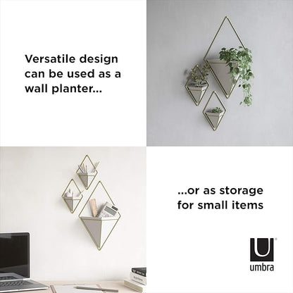 Umbra Trigg Hanging Planter Vase & Geometric Wall Decor Container - Great For Succulent Plants, Air Plant, Mini Cactus, Faux Plants and More, White Ceramic/Brass