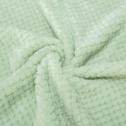 Fuzzy Throw Blanket, Plush Fleece Blankets for Adults, Toddler, Boys and Girls, Warm Soft Blankets and Throws for Bed, Couch, Sofa, Travel and Outdoor, Camping (40Wx60L, M-Pastel Green)