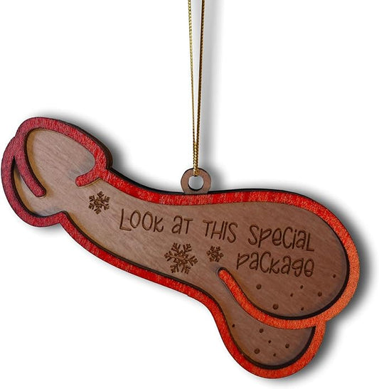 Look at This Special Package Novelty Christmas Ornament - Fun and Quirky Wooden Penis-Shaped Holiday Decoration (Brown Special Package)