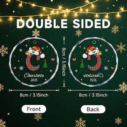 Personalized Christmas Ornaments 2025, Name Ornaments for Christmas Tree, Custom Initial Christmas Ornament for Kids and Adults, Stocking Name Tags