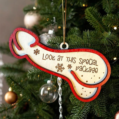 Look at This Special Package Novelty Christmas Ornament - Fun and Quirky Wooden Penis-Shaped Holiday Decoration - Easily Add A Name in Penis-Shaped Ornament with Oil Marker (Marker Not Included)