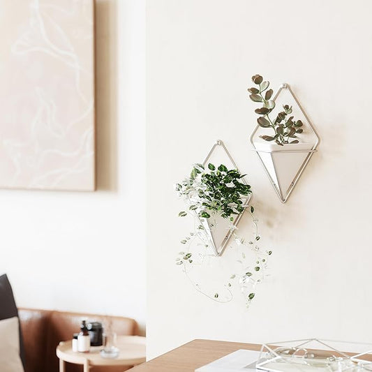 Umbra Trigg Small Wall Display, White-Nickel, Planter Pot, Indoor Outdoor Usage