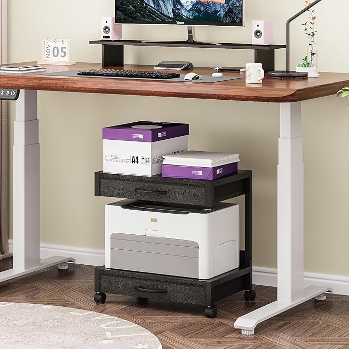 2-Tier Desktop Printer Stand with 2 Fabric Drawers, Prtiner Table with Storage Shelf, Desk Organizer for Home Office,3D Printer,Fax Machine,Scanner (Black, 2 Tier)