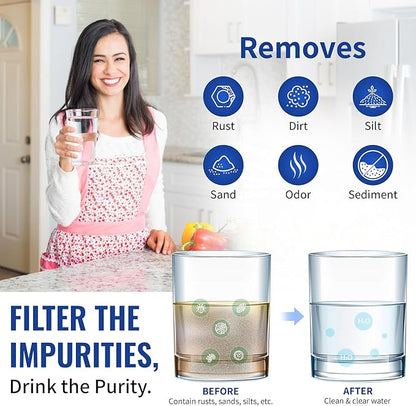 2-Pack Replacement for WaterPur CCI-10-CLW Granular Activated Carbon Filter - Universal 10-inch Cartridge for WaterPur Clear Water Filter Housing