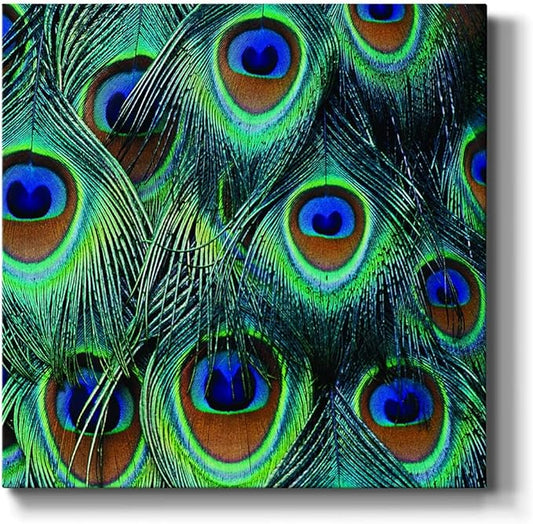 Abstract Wall Art Animals Poster for Bedroom and Living Room,All for Show Wall Art, Ready to Hang, 24'' x 24''
