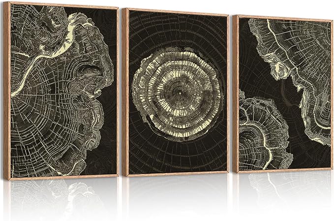 IARTTOP Tree Ring Canvas Wall Art Large Framed 24x36 Inch Black Modern Abstract Wall Decor Neutral Minimalist Wood Spiral Wall Painting for Living room Bedroom Office Set of 3