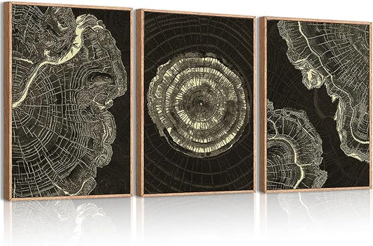 IARTTOP Tree Ring Canvas Wall Art Large Framed 24x36 Inch Black Modern Abstract Wall Decor Neutral Minimalist Wood Spiral Wall Painting for Living room Bedroom Office Set of 3