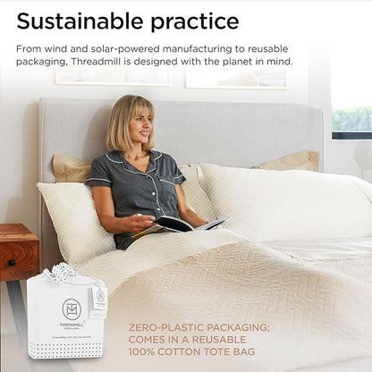Threadmill Luxury 100% Cotton Queen Bed-Sheets - 800 Thread Count Jacquard Celine Ivory, Better Than Egyptian Cotton,4 Pc Striped Bed Set, Damask Sheets with Elasticized Deep Pocket