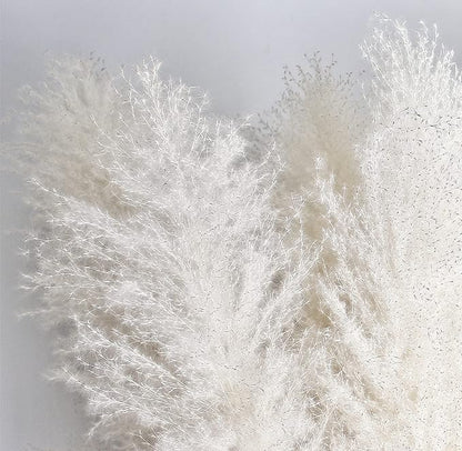 46" inch 10 Stems Cream Pampas Grass Decor Tall, Dry Flowers for Floor Vases Decor, Natural Dried Flowers for Wedding, Natural Home Decor, Wall Grass, Glam Decor