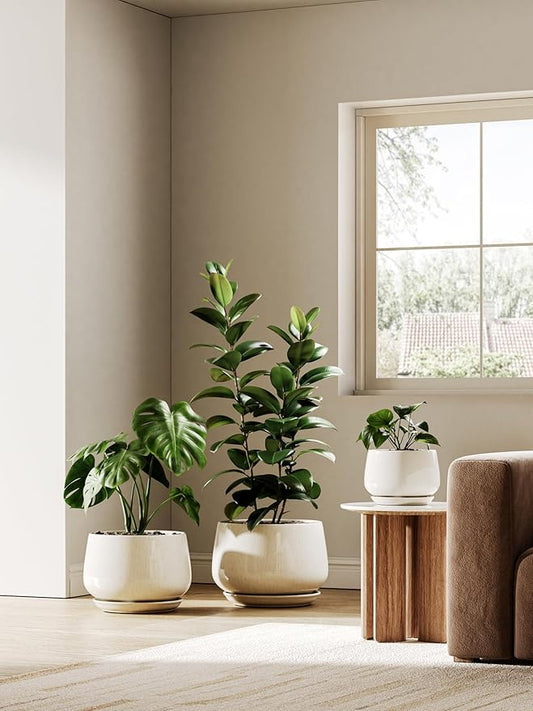 LE TAUCI Ceramic Planters, 10 Inch Plant Pot with Drainage Holes and Saucers, Stylish and Durable Planter, Plant Pots Indoor, Gift for Mom, Reactive Glaze Beige