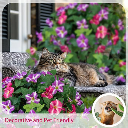 Artificial Flowers for Outdoors, 2PCS Realistic Fake Petunias UV Resistant No Fade Spring Floral, Faux Silk Flowers for Outdoor Planters Garden Yard Patio Porch Home Decor, Red Lotus
