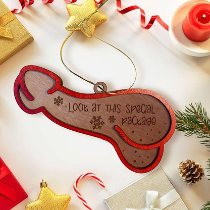 Look at This Special Package Novelty Christmas Ornament - Fun and Quirky Wooden Penis-Shaped Holiday Decoration (Brown Special Package)