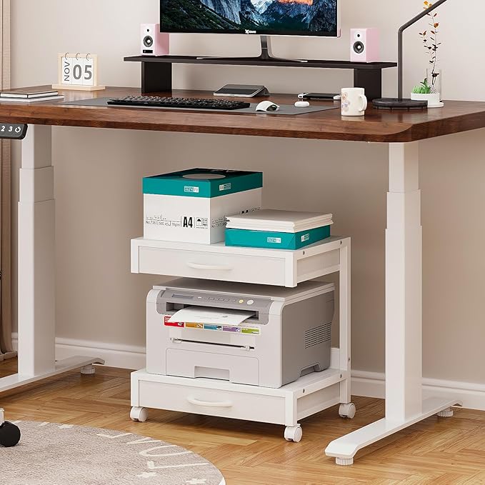 2-Tier Desktop Printer Stand with 2 Fabric Drawers, Prtiner Table with Storage Shelf, Desk Organizer for Home Office,3D Printer,Fax Machine,Scanner (White, 2 Tier)