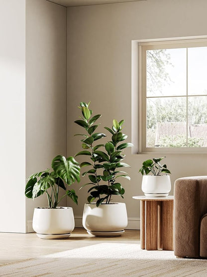 LE TAUCI Ceramic Pots for Plants, 10 Inch Plant Pot with Drainage Holes and Saucers, Stylish and Durable Planter, Plant Pots Indoor, Gift for Mom, White