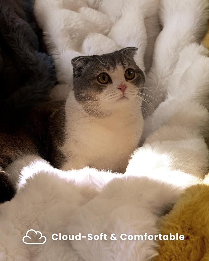 Ultra Soft Cozy Faux Fur Throw Blanket, Fuzzy Plush Thick Bubble Blanket, Luxury Fluffy Blanket for Couch, Sofa, Bedroom, and Living Room, 50x60 Inches, Off White