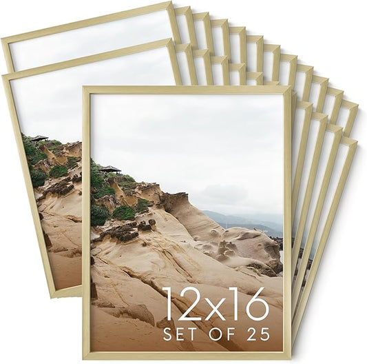 HAUS AND HUES 12x16 Gold Metal Picture Frames - Features Premium Aluminum, Vertical & Horizontal Hang, Shatterproof Plexiglass - Perfect for Home, Room, Office (12x16 in, Gold, Set of 25)