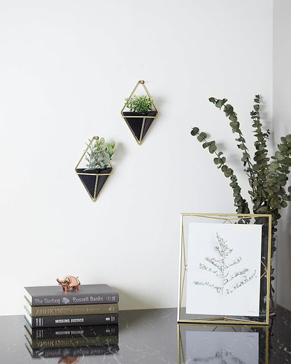 Umbra Trigg Hanging Planter Vase Wall Decor, Set of 2 Pots Containers for Succulents, Cactus, Faux Plants, and More, Small, Black/Brass
