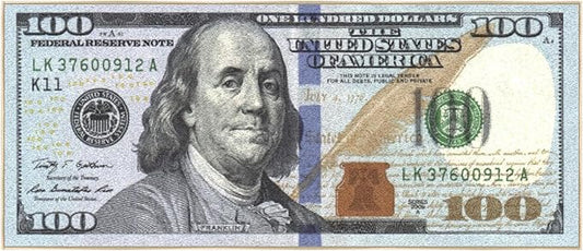 Machine Washable $100 Bill Design Cotton 22x53 Flatweave Runner Rug for Laundry Room, Bedroom, 22" x 53", Multicolor
